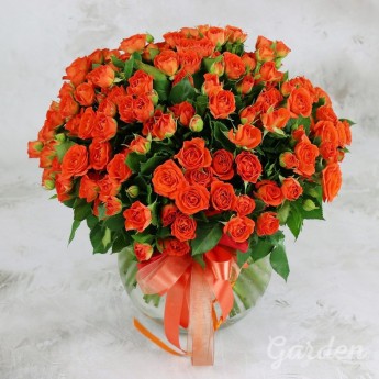 51 оранжевая кустовая роза